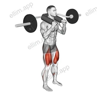 Safety Bar Front Squat exercise targeting Thighs