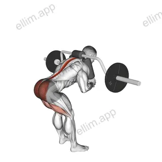 Safety Bar Good Morning exercise targeting Hips