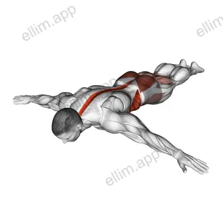 Scorpion Stretch exercise targeting Stretching