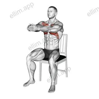 Seated Alternate Dynamic Chest Stretch on a Chair exercise targeting Chest