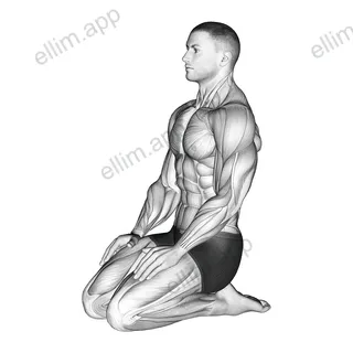 Seated Ankle Stretch exercise targeting Calves and Tibialis Anterior