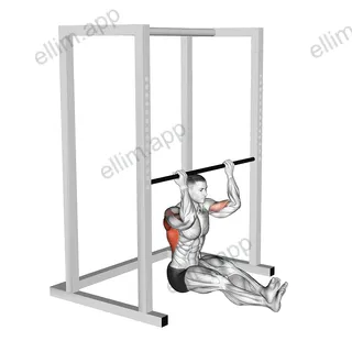 Seated Chin up (low bar position) exercise targeting Back