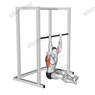 Seated Chin up exercise targeting Back