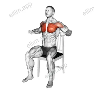 Seated Decline Chest Press on a Chair exercise targeting Chest