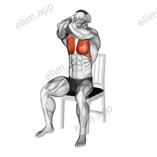 Seated Elbow Chest Fly on a Chair exercise targeting Chest