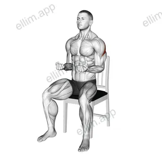 Seated External Rotation on a Chair exercise targeting Back