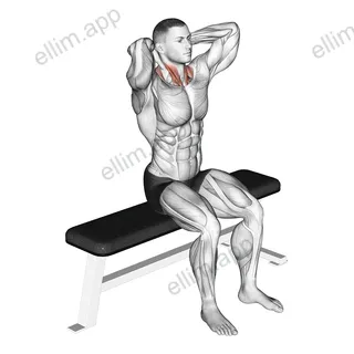 Seated Flexion And Extension Neck exercise targeting Neck and Sternocleidomastoid