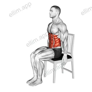 Seated Forward Bend Stretch on a Chair exercise targeting Stretching