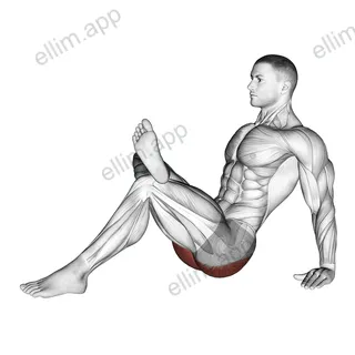 Seated Glute Stretch exercise targeting Hips and Gluteus Maximus