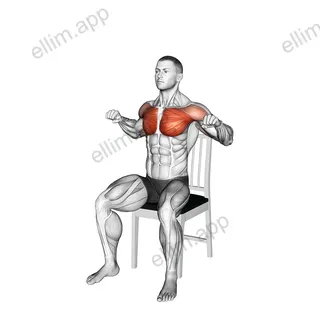Seated Incline Chest Press on a Chair exercise targeting Chest