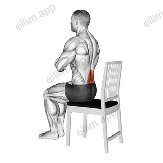 Seated Lean Back on a Chair exercise targeting Back