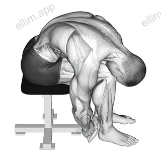 Seated Lower Trunk Extensor Lateral Flexor Stretch exercise targeting Back