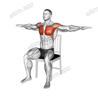Seated Open-up and Under Swing on a Chair exercise targeting Chest