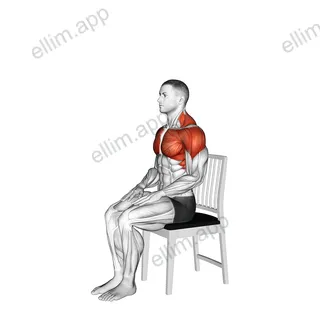 Seated Overhead Stretch on a Chair exercise targeting Stretching