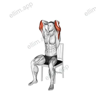 Seated Overhead Triceps Extension on a Chair exercise targeting Upper Arms