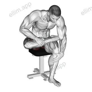 Seated Piriformis Stretch exercise targeting Hips and Gluteus Maximus