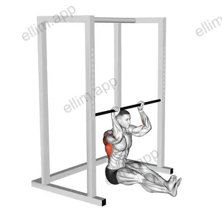 Seated Pull up (low bar position) exercise targeting Back