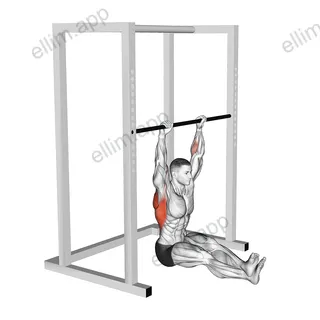 Seated Pull up exercise targeting Back