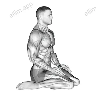 Seated Quadriceps Stretch exercise targeting Thighs