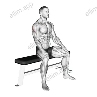 Seated Rhomboid Stretch exercise targeting Back