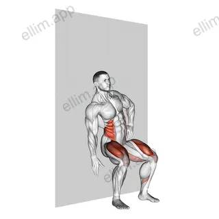 Seated Side Crunch (Wall) exercise targeting Waist and Obliques