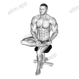 Seated Toe Extensor Stretch exercise targeting Calves
