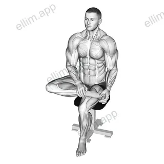 Seated Toe Flexor Stretch exercise targeting Calves