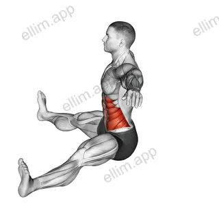 Seated Twist (Straight Arm) exercise targeting Waist and Obliques