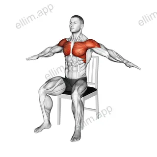 Seated Underhand Arm Circle on a Chair exercise targeting Shoulders