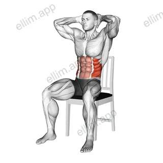 Seated Upright Twists on a Chair exercise targeting Waist