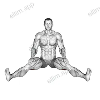 Seated Wide Angle Pose Sequence exercise targeting Thighs and Erector Spinae