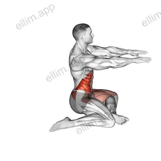 Shin Box Switch exercise targeting Stretching