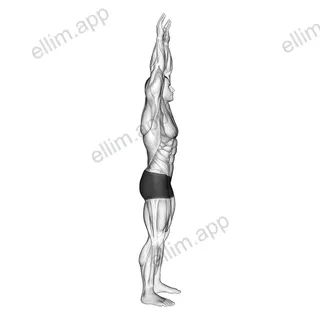 Shoulder Backbend Stretch exercise targeting Shoulders and Deltoid Anterior