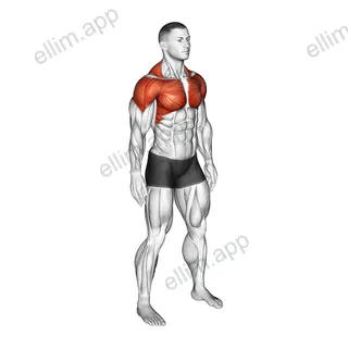 Shoulder Circle exercise targeting Back