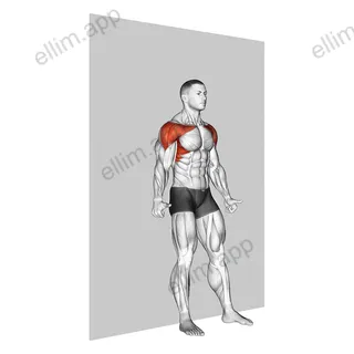 Shoulder Flexion Back to Wall exercise targeting Back