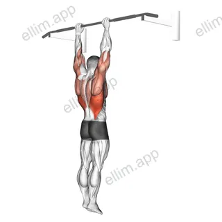 Shoulder Grip Pull-up exercise targeting Back and Latissimus Dorsi
