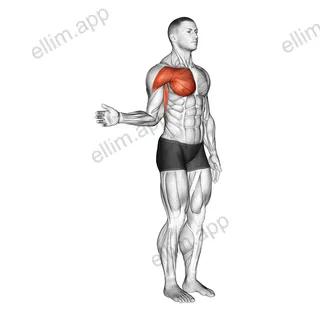 Shoulder - Medial Rotation (Internal Rotation) exercise targeting Shoulders