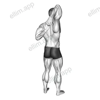 Shoulder Stretch Behind the Back exercise targeting Shoulders and Deltoid Posterior