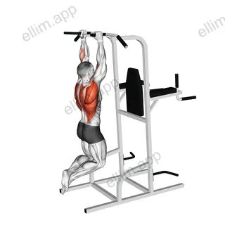 Shoulder Width Neutral Grip Pull-up exercise targeting Back