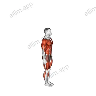 Side Kick Burpee exercise targeting Plyometrics