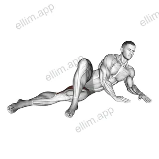 Side Lying Hip Adduction (left) exercise targeting Hips