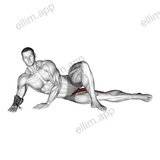 Side Lying Hip Adduction exercise targeting Hips and Adductor Brevis