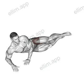 Side Lying Leg Circle exercise targeting Hips and Adductor Brevis
