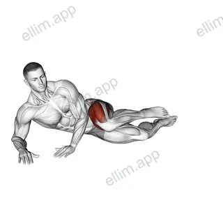 Side Lying Outward Knee Kick exercise targeting Hips and Gluteus Maximus