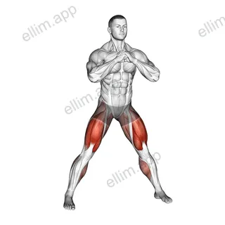 Side Squat exercise targeting Thighs and Gluteus Maximus