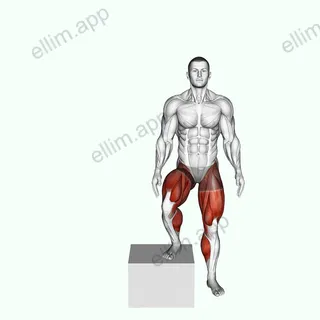 Side to Side Box Shuffle exercise targeting Plyometrics