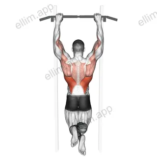 Side To Side Chin exercise targeting Back