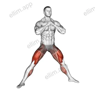 Side to Wide Squat exercise targeting Hips