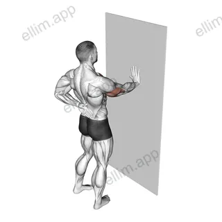 Single Arm Push-up Supported Wall exercise targeting Chest and Pectoralis Major Clavicular Head
