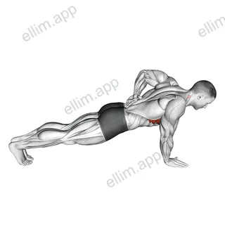 Single Arm Scapula Push up exercise targeting Back